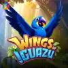 Wings of Iguazu